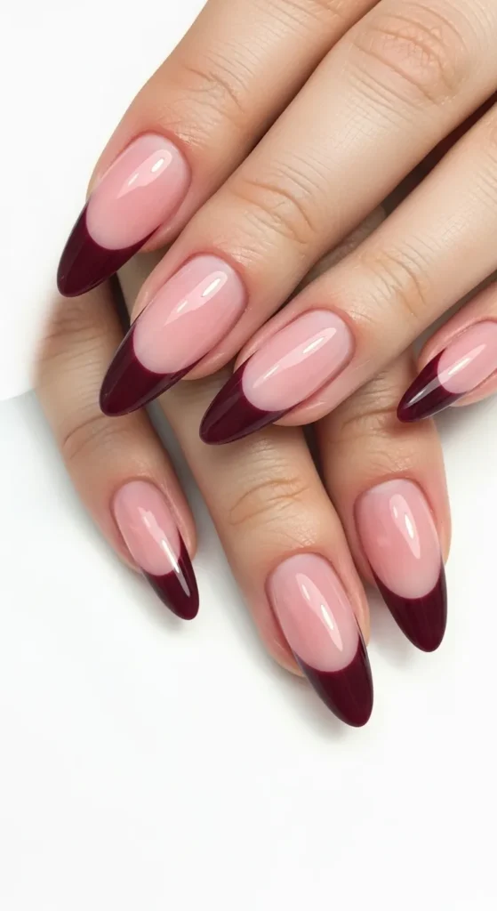 Deep Wine Burgundy French